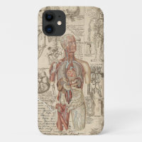 Anatomie-Universität für Medizin