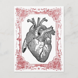 Anatomie Vintages Herz Valentine Postkarte
