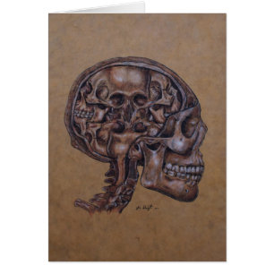 Anatomie von einem Schizophrenix