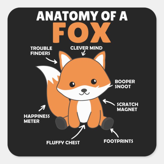 Anatomie von Fox Quadratischer Aufkleber (Vorderseite)
