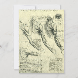 Anatomie von Leonardo da Vinci