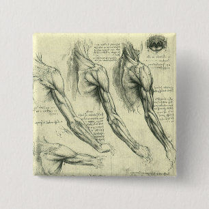 Anatomie von Leonardo da Vinci Button