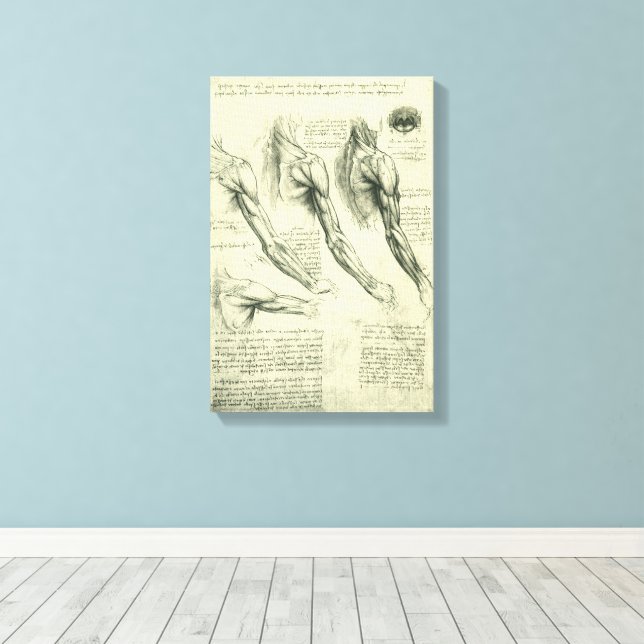 Anatomie von Leonardo da Vinci Leinwanddruck (Insitu (Holzboden))