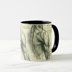 Anatomie von Leonardo da Vinci Tasse