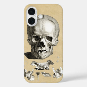 Anatomie von Schädel und Knochen iPhone 16 Hülle