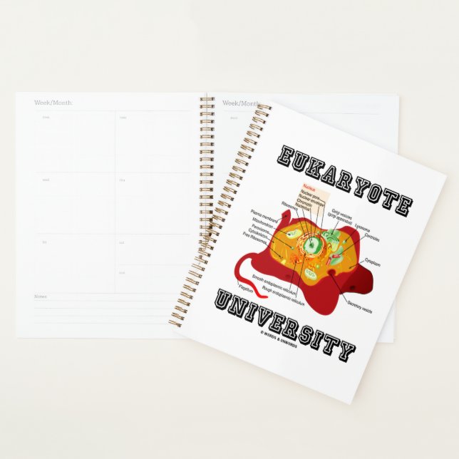 Anatomie von Zellen an der Universität Eukaryote Planer (Anzeige)