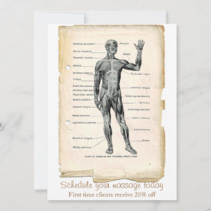 Anatomie Vorderansicht Vintage-Zeichnung Einladung