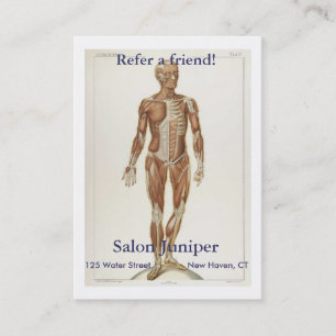 Anatomie vorhergehend empfehlungskarte