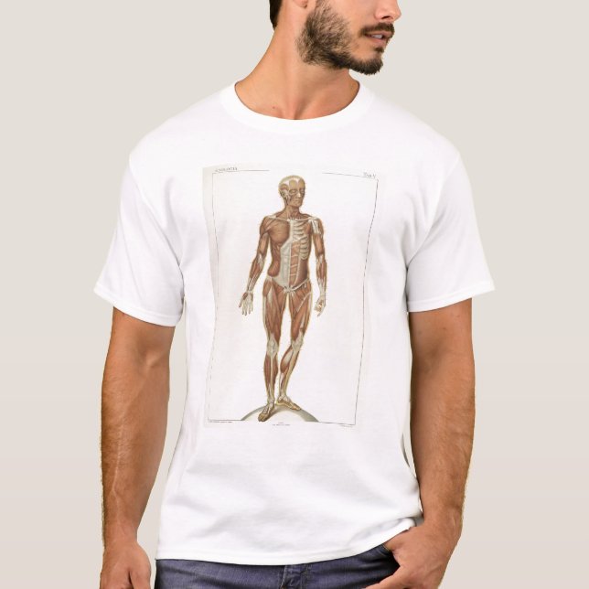 Anatomie vorhergehend T-Shirt (Vorderseite)