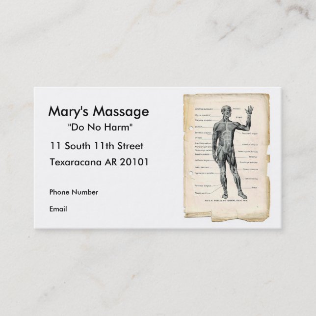 Anatomie vorhergehend terminkarte (Vorderseite)