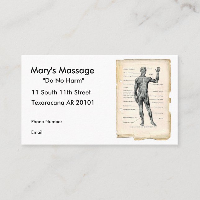 Anatomie vorhergehend terminkarte (Vorderseite)