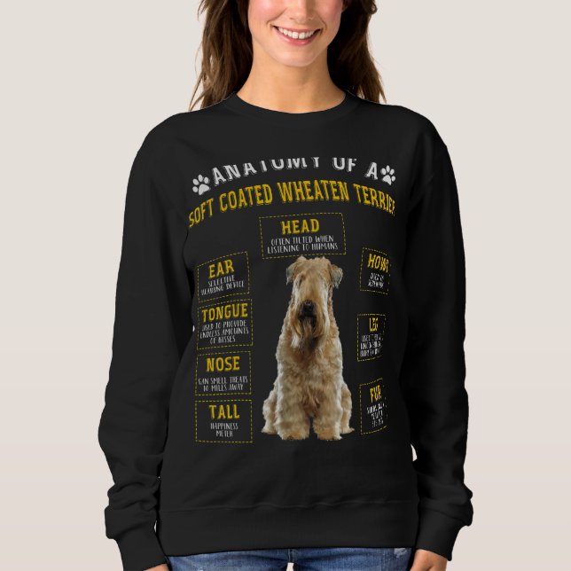 Anatomie Weibliche Weibchen Sweatshirt (Vorderseite)