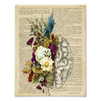 Anatomieplakat für das Blumengehirn Fotodruck