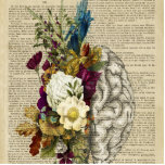 Anatomieplakat für das Blumengehirn Freistehende Fotoskulptur<br><div class="desc">Blume, Blume, Rose, Rose, Seite, Buch, Wörterbuch, Verzeichnis, Gehirn, Weiß, Mensch, Vintag, Anatomie, Gesundheit, Medizin, Naturwissenschaften, Biologie, Gravur, Schwarz, Alt, Grafik, Ätzen, antiken, Linien, Körper, Gravur, Kopf, Bildung, Geist, Intelligenz, nervös, einfarbig, Person, Symbol, 3d, Stil, hell, hell, hell, hell, hell, hell, hell, hell, hell, hell, hell, hell, hell, hell, braun,...</div>