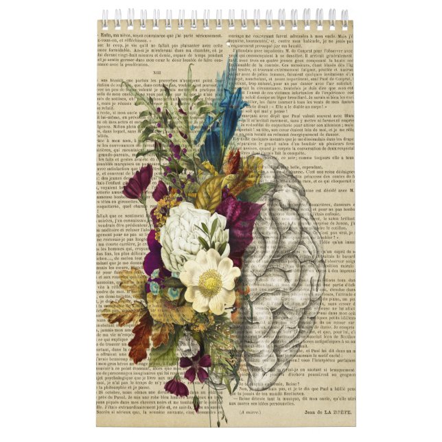 Anatomieplakat für das Blumengehirn Kalender (Titelbild)