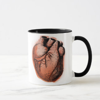 Anatomisch korrektes Herz Tasse