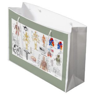 Anatomische Diagramme Große Geschenktüte