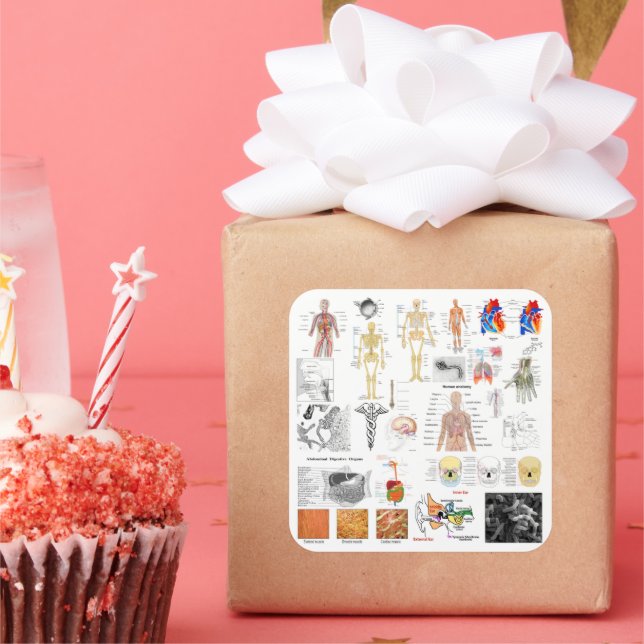 Anatomische Diagramme Quadratischer Aufkleber (Party)