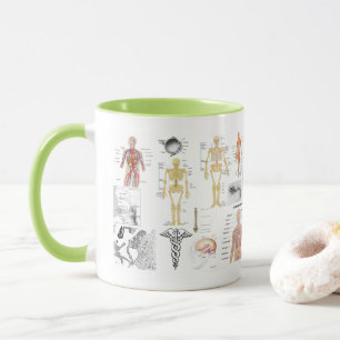 Anatomische Diagramme Tasse