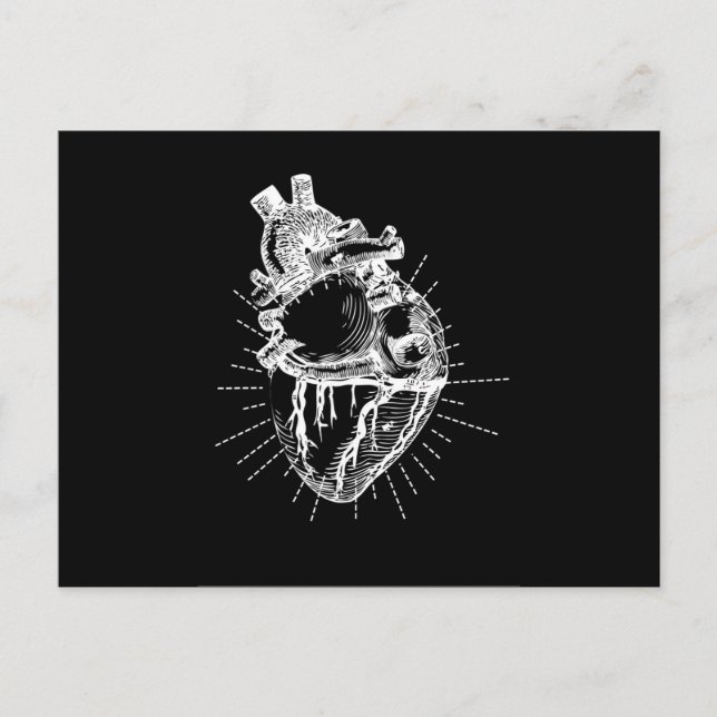 Anatomische Herz Schwarz & Weiß Sammlung Postkarte (Vorderseite)