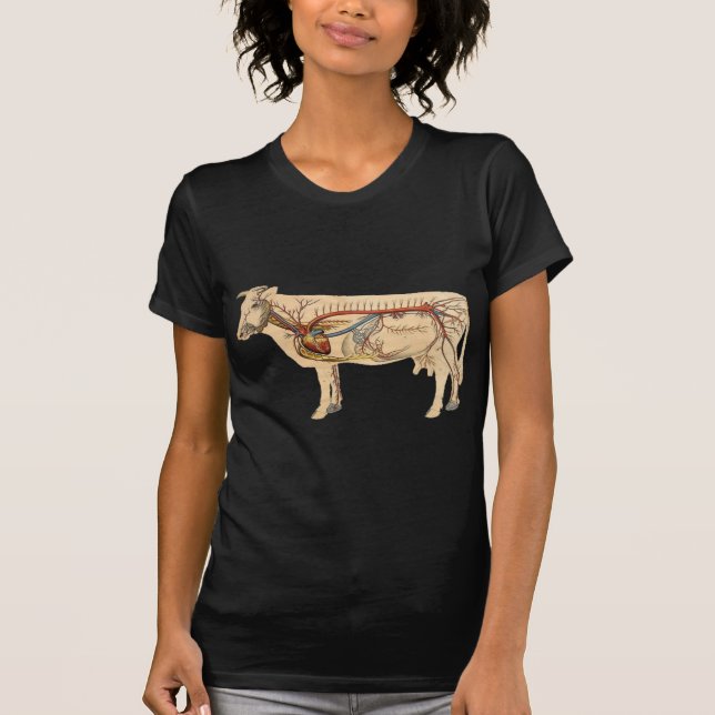 Anatomische niedliche Kuh T-Shirt (Vorderseite)