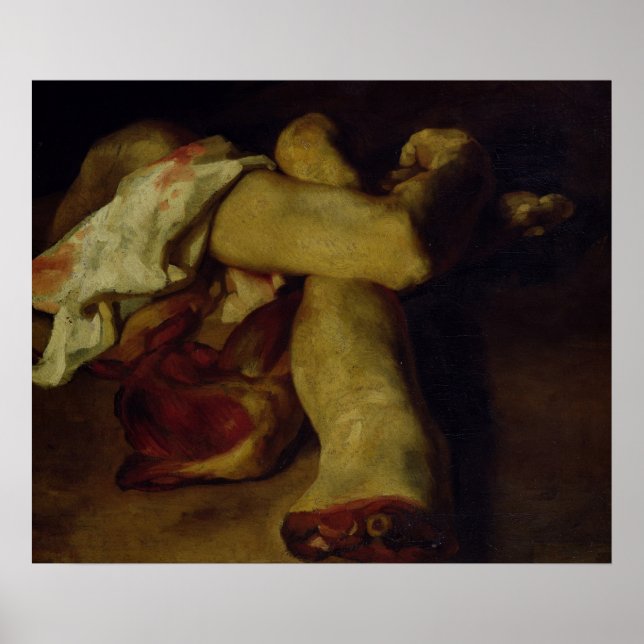 Anatomische Stücke Poster (Vorne)