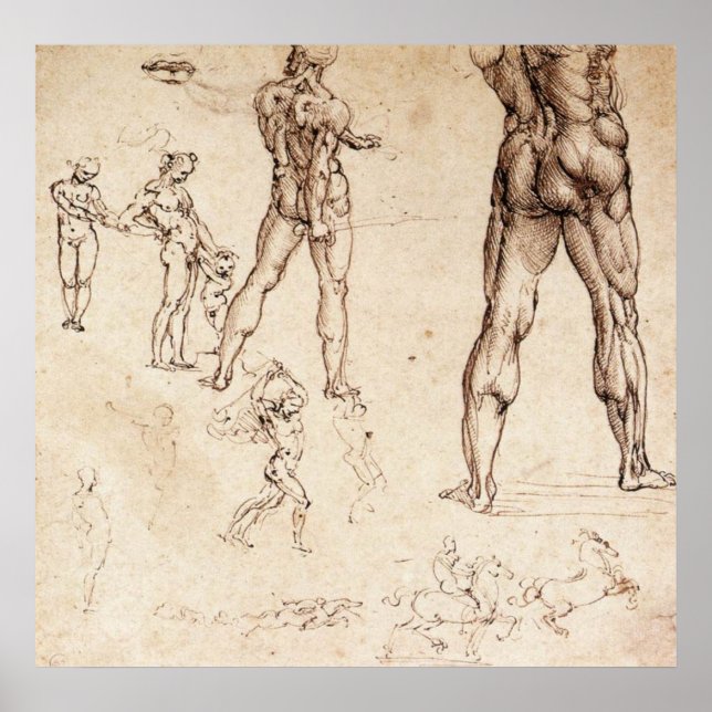 Anatomische Studien Poster (Vorne)