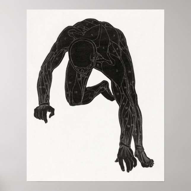 Anatomische Untersuchung des Nackens eines Mannes Poster (Vorne)