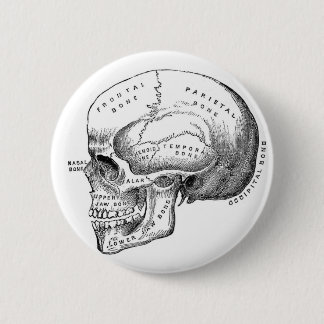 Anatomischer Schädel-Button-Knopf Button