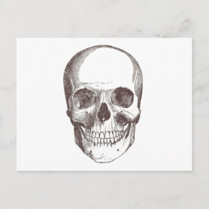 Anatomischer Schädel, schwarz/weiß Postkarte