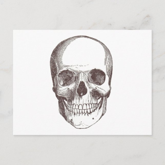 Anatomischer Schädel, schwarz/weiß Postkarte (Vorderseite)