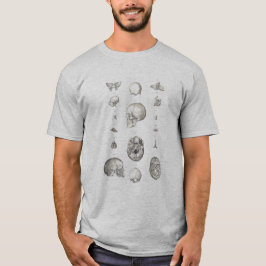 Anatomischer T - Shirt von Schädel und Knochen