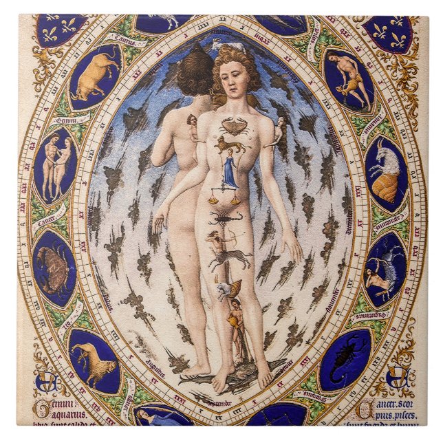 Anatomischer Zodiakmann Fliese (Vorderseite)
