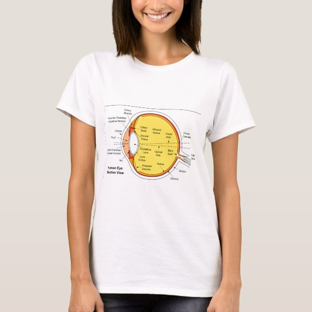 Anatomisches Diagramm des menschliches Augen-Balls T-Shirt (Vorderseite)