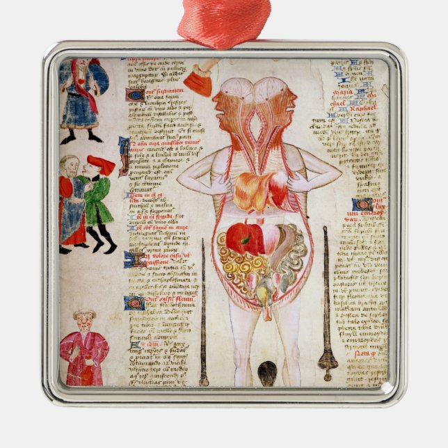 Anatomisches Diagramm Silbernes Ornament (Vorne)