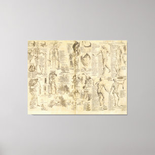 Anatomisches Diagramm von Cyclopaedia 1728 Leinwanddruck