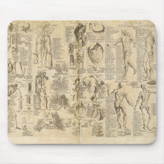 Anatomisches Diagramm von Cyclopaedia 1728 Mousepad (Vorne)
