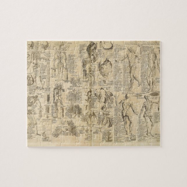 Anatomisches Diagramm von Cyclopaedia 1728 Puzzle (Horizontal)