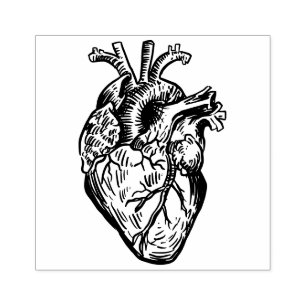 Anatomisches Herz Gummistempel