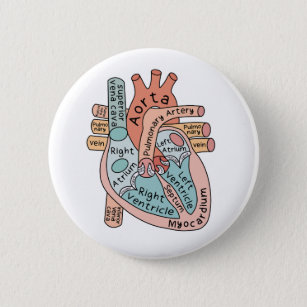 Anatomisches Herz, Herzinfarkt - ICU-Geschenk Button