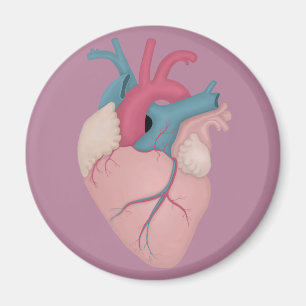 Anatomisches Herz Magnet