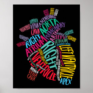 Anatomisches Herzdesign Herz-Kreislauf-Knorpel Poster