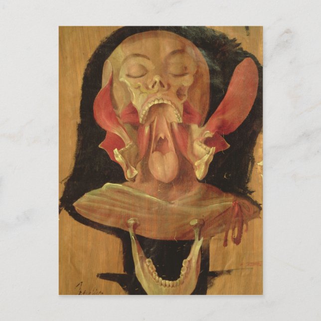 Anatomisches zeichn des Kopfes Postkarte (Vorderseite)
