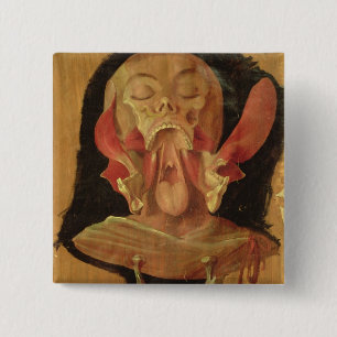 Anatomisches Zeichnen des Kopfes Button