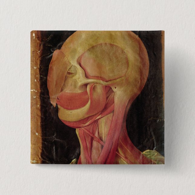 Anatomisches Zeichnen des menschlichen Kopfes Button (Vorderseite)