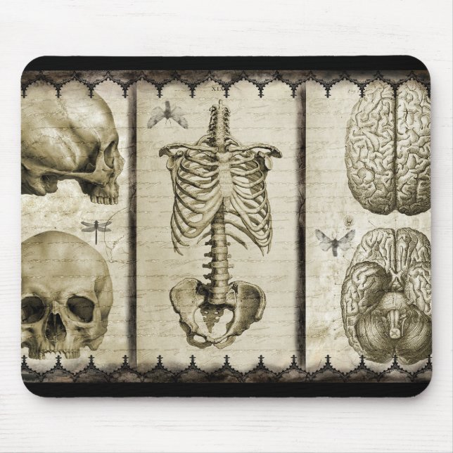 anatomisieren mousepad (Vorne)