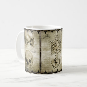 anatomisieren tasse