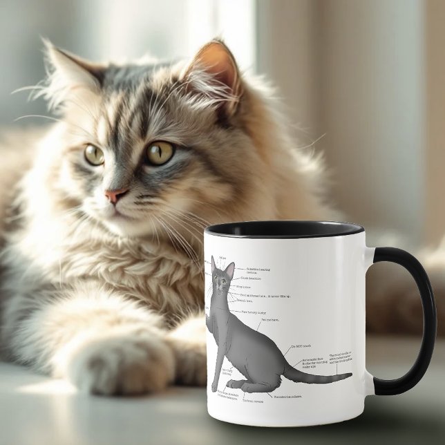 Anatomy Cat Funny Tasse (Von Creator hochgeladen)