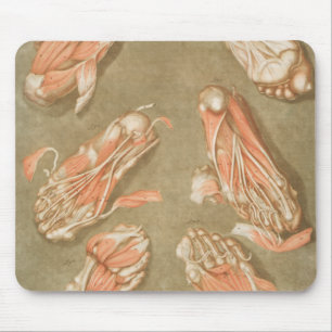 ANATOMY FOOT ANATOMFUSSMUSKELANATOMKNOCHEN LIG MOUSEPAD