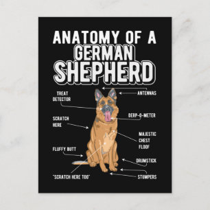 Anatomy Funny Dog Postkarte